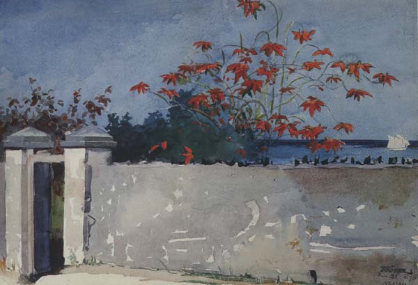 Winslow Homer A Wall,Nassau (mk44)